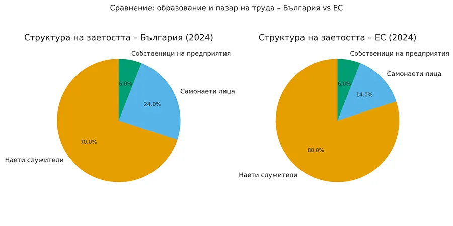 Инфографика с две пай графики, сравняващи структурата на заетостта в България и Европейския съюз през 2024 г. – наети служители, самонаети лица и собственици на предприятия
